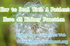 How to Deal With A Patient Only Have 4% Kidney Function