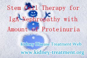 Stem Cell Therapy for IgA Nephropathy with Large Amount of Proteinuria