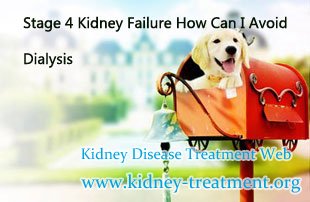 Stage 4 Kidney Failure How Can I Avoid Dialysis