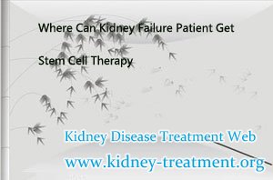 Where Can Kidney Failure Patient Get Stem Cell Therapy