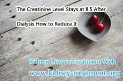 The Creatinine Level Stays at 8.5 After Dialysis How to Reduce It