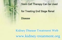 Stem Cell Therapy Can be Used for Treating End Stage Renal Disease