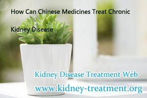 How Can Chinese Medicines Treat Chronic Kidney Disease