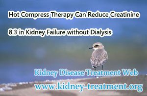 Hot Compress Therapy Can Reduce Creatinine 8.3 in Kidney Failure without Dialysis
