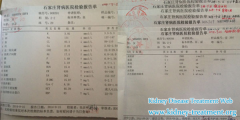 PKD Got Controlled by Chinese Treatments