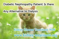 Diabetic Nephropathy Patient: Is there Any Alternative to Dialysis