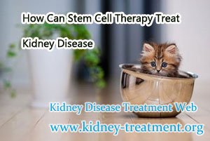 How Can Stem Cell Therapy Treat Kidney Disease