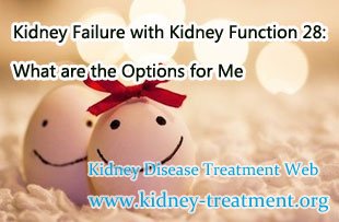 Kidney Failure with Kidney Function 28: What are the Options for Me