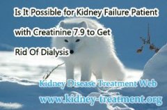 Is It Possible for Kidney Failure Patient with Creatinine 7.9 to Get Rid Of Dialysis