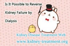 Is It Possible to Reverse Kidney Failure by Dialysis
