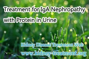 Treatment for IgA Nephropathy with Protein in Urine