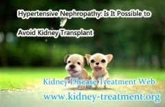 Hypertensive Nephropathy: Is It Possible to Avoid Kidney Transplant