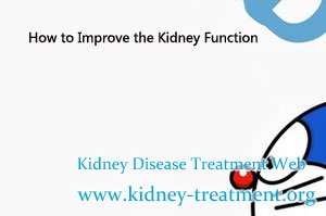 How to Improve the Kidney Function