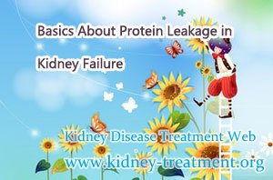 Basics About Protein Leakage in Kidney Failure