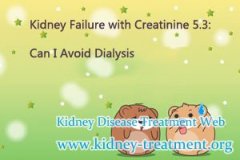 Kidney Failure with Creatinine 5.3: Can I Avoid Dialysis
