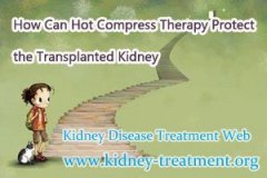 How Can Hot Compress Therapy Protect the Transplanted Kidney