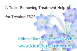 Is Toxin-Removing Treatment Helpful for Treating FSGS