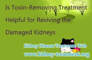 Is Toxin-Removing Treatment Helpful for Reviving the Damaged Kidneys