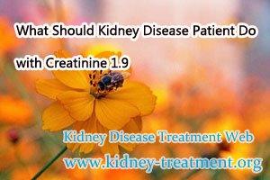 What Should Kidney Disease Patient Do with Creatinine 1.9