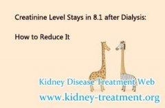 Creatinine Level Stays in 8.1 after Dialysis: How to Reduce It
