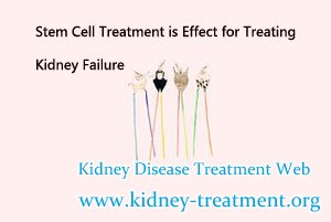Stem Cell Treatment is Effect for Treating Kidney Failure