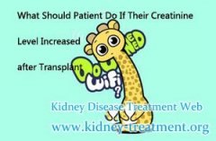 What Should Patient Do If Their Creatinine Level Increased after Transplant
