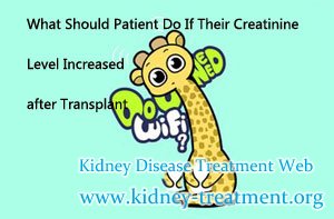 What Should Patient Do If Their Creatinine Level Increased after Transplant