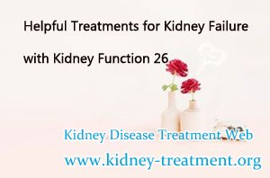 Helpful Treatments for Kidney Failure with Kidney Function 26