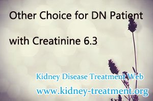 Other Choice for DN Patient with Creatinine 6.3