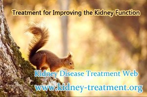 Treatment for Improving the Kidney Function