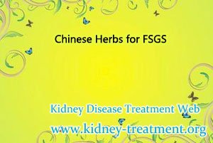 Chinese Herbs for FSGS