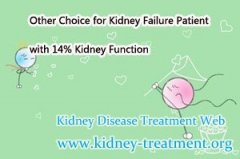 Other Choice for Kidney Failure Patient with 14% Kidney Function