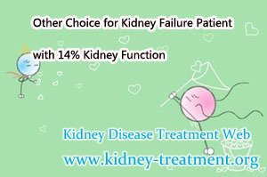 Other Choice for Kidney Failure Patient with 14% Kidney Function
