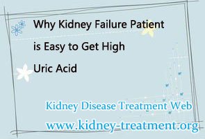 Why Kidney Failure Patient is Easy to Get High Uric Acid 