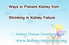 Ways to Prevent Kidney from Shrinking in Kidney Failure