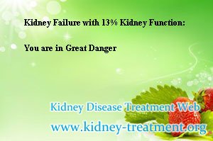 Kidney Failure with 13% Kidney Function: You are in Great Danger