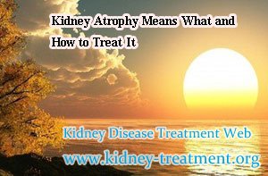 Kidney Atrophy Means What and How to Treat It