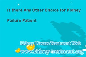 Is there Any Other Choice for Kidney Failure Patient