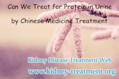 Can We Treat Protein in Urine by Chinese Medicine Treatment