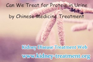 Chronic Kidney Disease,Reduce Protein in Urine,Chinese Medicine Treatment