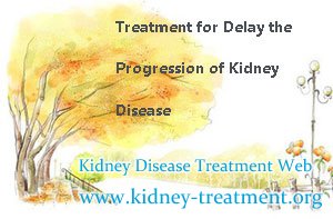 Treatment for Delay the Progression of Kidney Disease