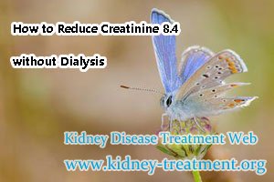 How to Reduce Creatinine 8.4 without Dialysis