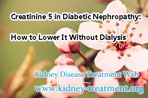 Creatinine 5 in Diabetic Nephropathy: How to Lower It Without Dialysis
