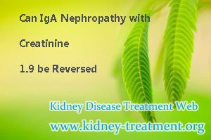 Can IgA Nephropathy with Creatinine 1.9 be Reversed