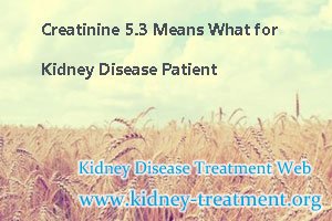 Creatinine 5.3 Means What for Kidney Disease Patient