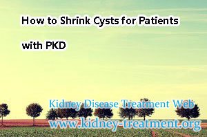 How to Shrink Cysts for Patients with PKD