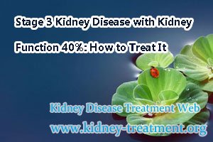 Stage 3 Kidney Disease with Kidney Function 40%: How to Treat It