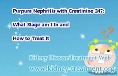 Purpura Nephritis with Creatinine 247: What Stage am I In and How to Treat It