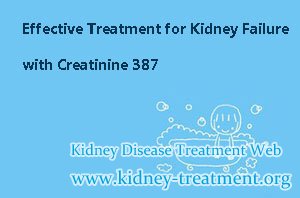 Effective Treatment for Kidney Failure with Creatinine 387