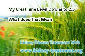 My Creatinine Level Downs to 2.3 What does That Mean